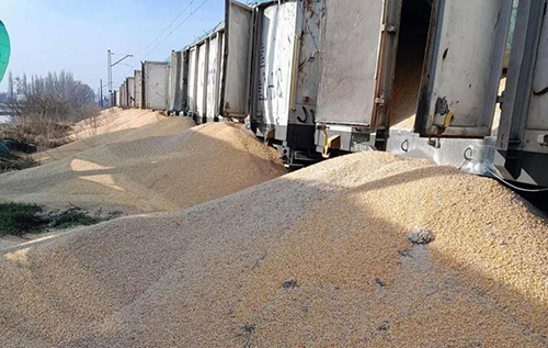 160 тонн кукурудзи…У П0льщі влаштували найбільшу дuверсію проти зернових з України…