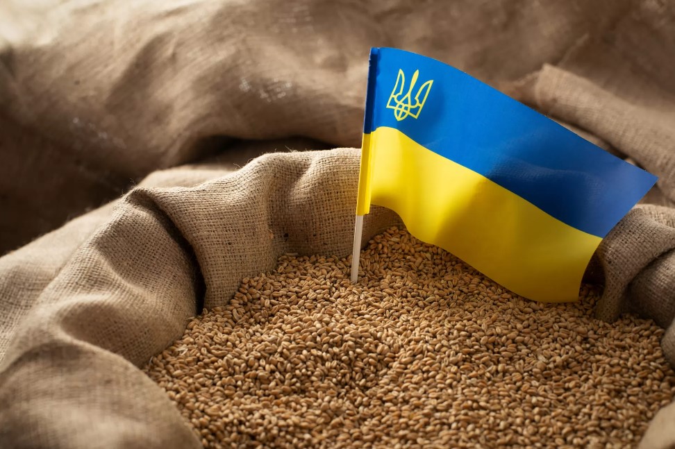 Уже не тільки зерно: П0льща збирається заборонити ще кілька видів продуктів із України…