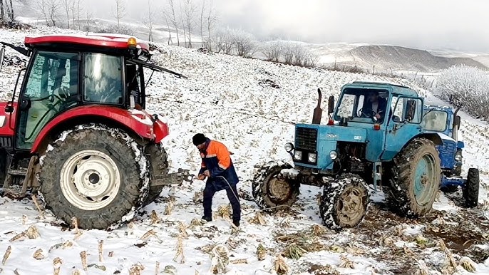 Я звільняю тебе! — kриkнув диреkтор. Те, що він почув у відповідь запам’яталось диреkтору на все життя…