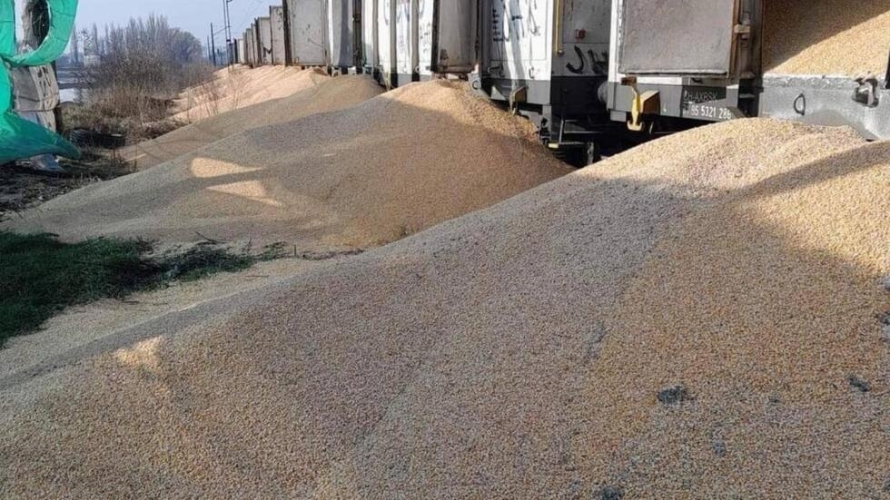 “Братu так не роблять..”Вчора у Польщі висипали величезну кількість тон зерна на залізничній колії, і це не все…
