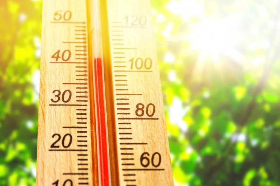 Буде спека +30 градусів: у яких областях скоро вдарять літні температури