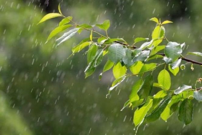 Де в Україні будуть дощі та грози: прогноз погоди на 23 травня