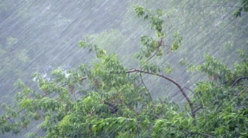 Зливи, шквали і град: Синоптики розповіли, чи чекати аномальної погоди в Україні влітку