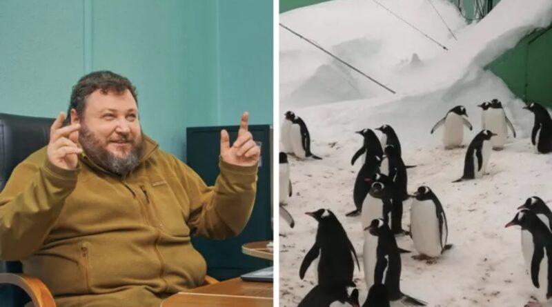 Україна виділила 463 млн гривень на вивчення пінгвінів в Антарктиці