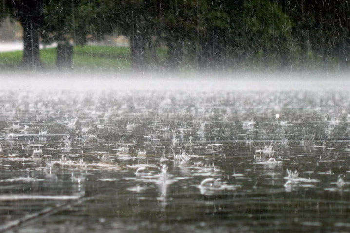 Дощів буде більше: синоптикиня зробила прогноз на початок липня