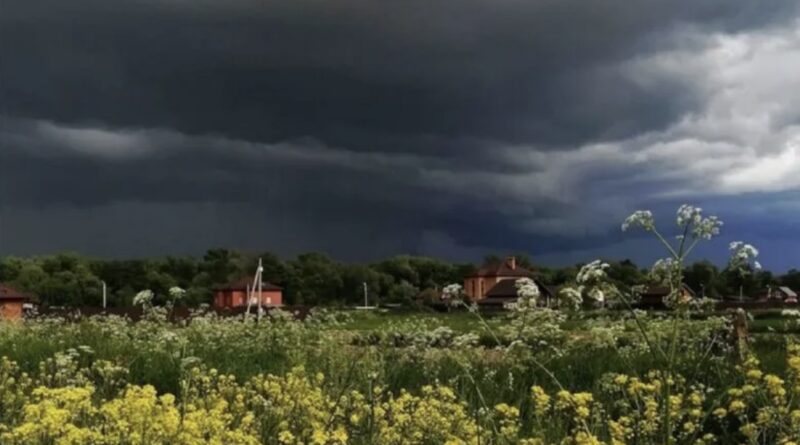 Штормовий вітер, спека та грозові дощі: синоптик Діденко попередила про погоду на завтра, 7 червня