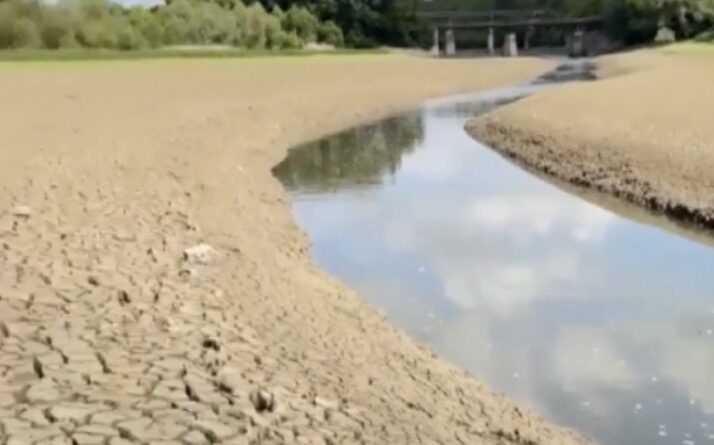 Дністер в Україні різко втрачає воду: які “скарби” знаходять на дні річки і що кажуть екологи