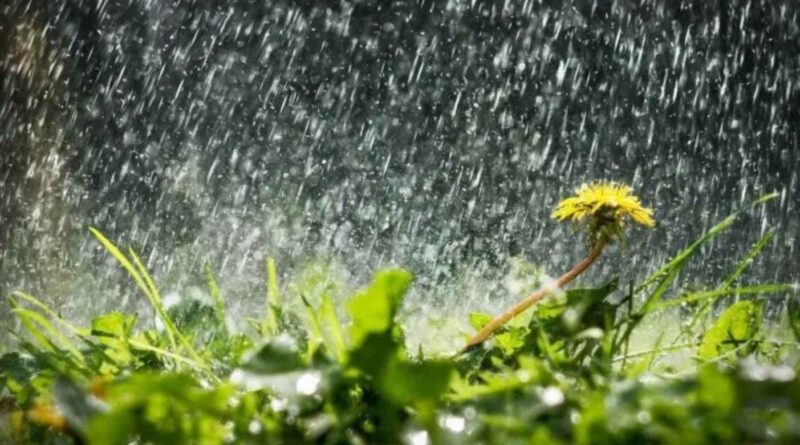 Україну завтра заливатимуть дощі з грозами: негода обмине лише кілька областей