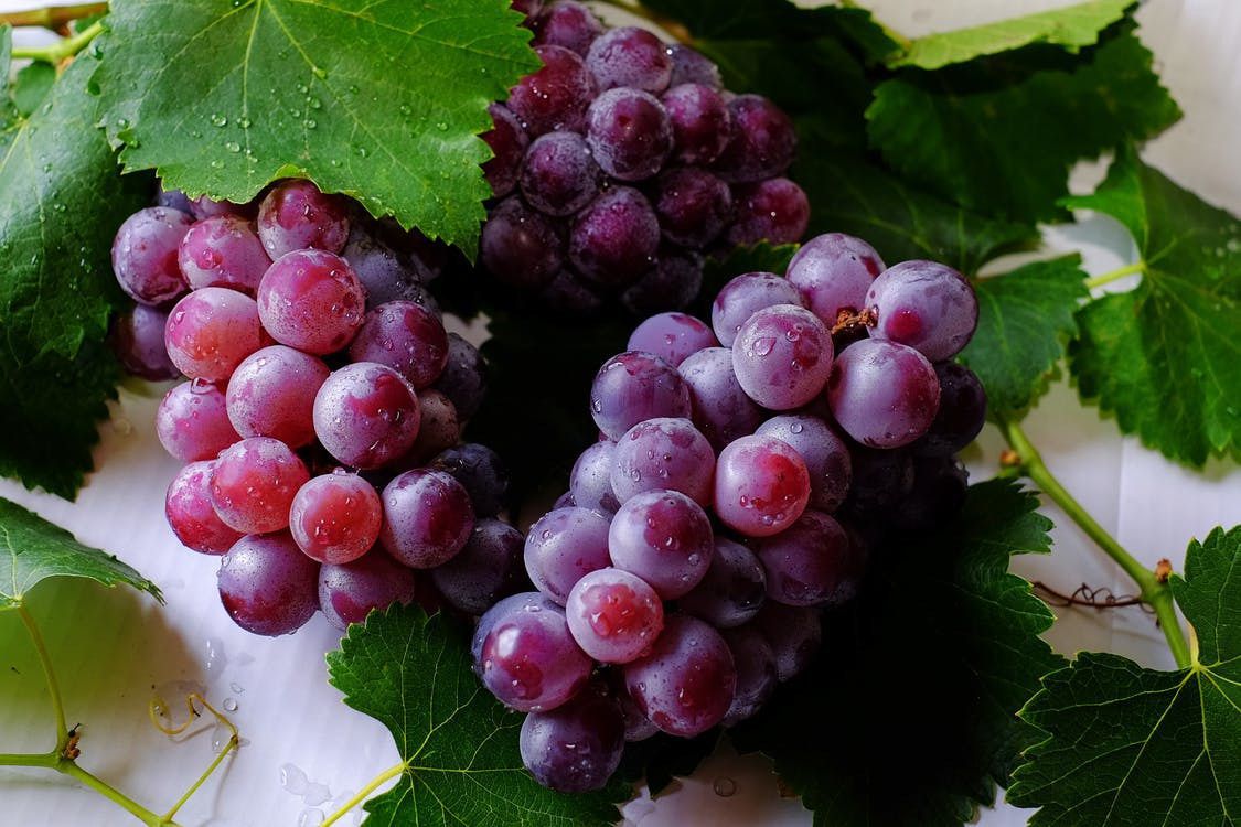 Що потрібно зробити з виноградом в липні-серпні, щоб грона порадували своєю солодкістю