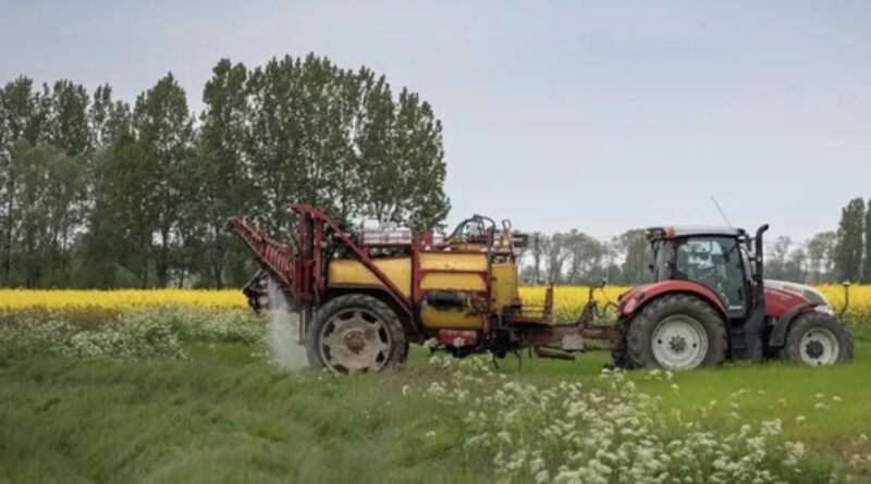 Ціна на землю в Україні встановила рекорд: скільки коштує гектар