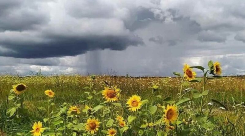 У понеділок Україну накриють дощі та грози – якою буде температура