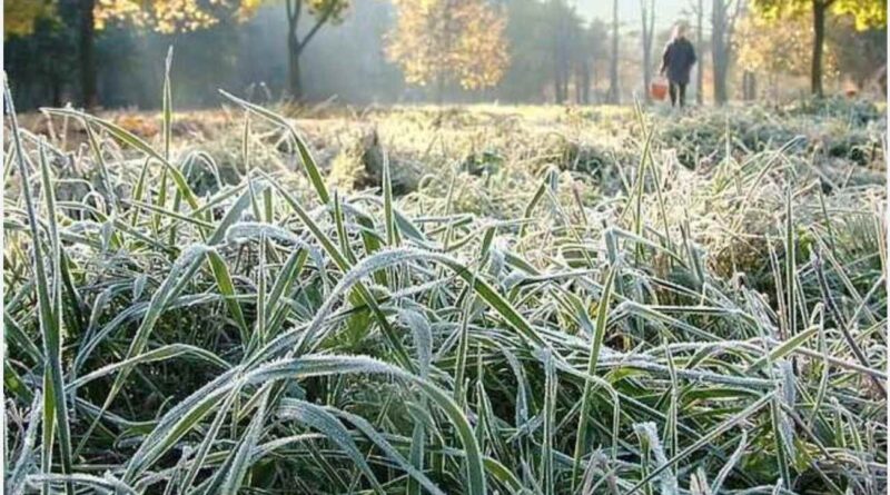 Перші заморозки можливі у серпні: синоптики розповіли, коли чекати зміни погоди і якою буде осінь в Україні