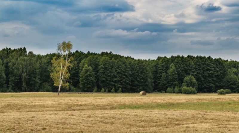 До України суне антициклон: як зміниться погода вихідними, 3-4 серпня