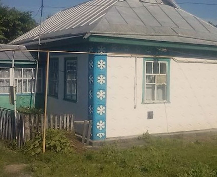 – Значить так! – гримнув по столу Михайло. – Мені машина і гараж. Я заслужив. – Та ти й носа сюди не показував, поки мама ще була, – пробурчала його сестра Ганна. – Та хай забирає, Ань! Мені тоді будинок. У мене дітей аж четверо, – сказала Світлана. – Значить мені все господарство. Ніхто не проти? – запитала Ганна. – Я проти, – пролунав тоненький голосок. Вони озирнулися. Біля дверей стояла маленька дівчинка.