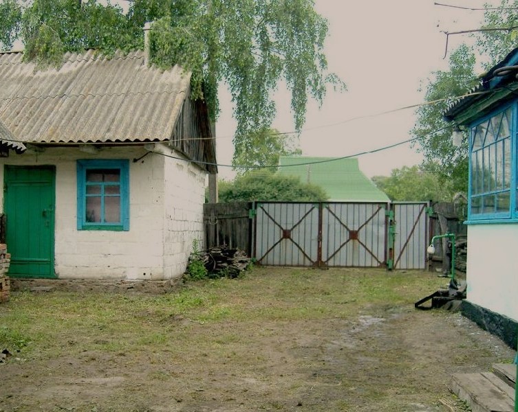 Все село гуляла на весіллі Мироненків. Оленка в білій сукні, Віктор у своєму темно-синьому костюмі з величезною білою півонією!.. Красень, а не жених! А потім настали будні. І начебто налагоджуватися все стало. Але баба Нюра все одно за внука переживала. Правнуків бабуся чекала, а дітей все не було! І раптом сталося те, чого від Оленки не очікувала навіть баба Нюра.