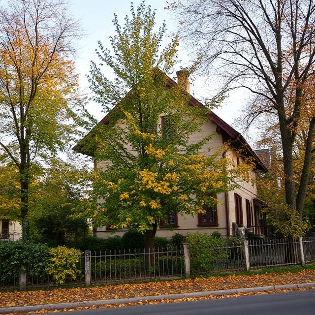 Катя з подругою сиділи на кухні і пили чай з тортиком. – Знаєш, Діано. Я така самотня, – тихо сказала Катя. – Ти серйозно?! – здивувалася Діана. Вона подивилася на свою подругу з подивом. Перед нею сиділа успішна жінка. – Я й не думала, що ти можеш бути нещасливою, – сказала Діана. Катя подивилася на подругу, її губи затремтіли, а по щоках потекли сльози. Діана не розуміла, що відбувається