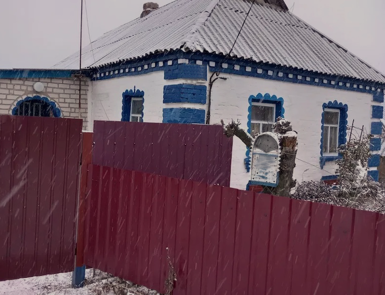 Марина прокинулася рано. Чоловіка поряд не було. – Неділя, на роботу не треба йти. І де ж Кирило? – подумала жінка. – Можливо Цезаря вигулює? Марина пройшлася по будинку, лабрадор спокійно лежав в коридорі, а чоловіка ніде не було. – І куди він так рано запропастився? – вже почала хвилюватися Марина, як раптом у вікні побачила, що відкрилися ворота і на подвір’я заїхала машина Кирила. Вона сіла на диван і чекала чоловіка. За хвилину вхідні двері відкрилися, увійшов Кирило, але він був не сам. Марина глянула на «гостя» і застигла від несподіванки