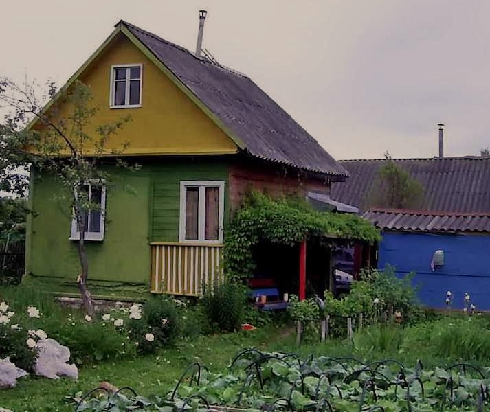 Ольга з чоловіком поралися на городі, як раптом, зненацька, приїхала свекруха. – А я свою дачу продала, тепер буду до вас їздити! – радісно заявила Наталя Миколаївна, заходячи в хвіртку. – Виділите мені грядочку? Ольга з Сергієм аж застигли від здивування. Сергій махнув рукою і виділив мамі “грядочку” за кущами смородини. Все було спокійно до тих пір, поки не почав дозрівати врожай. Вони раптом помітили, що всі овочі, які вони виростили почали кудись зникати