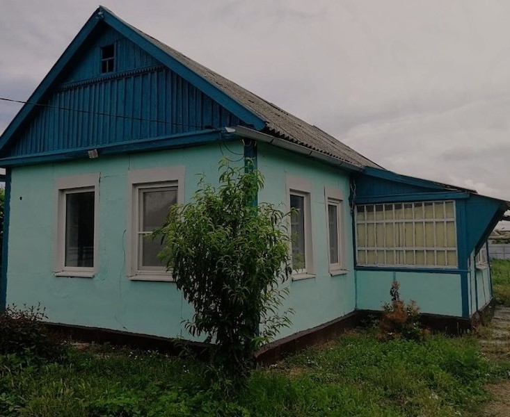 Того літа Тетяна жила з мамою в селі. Від бабусі їм залишився старенький будиночок і вони майже все літо вирішили провести там. Якось Тетяна прийшла додому з вулиці і привела із собою песика. – Мамо, подивися якого собачку мені бабуся подарувала. – Яка ще бабуся здивувалась жінка. – І як його прогодувати? – Вона сказала, що гроші в хусточку загорнуті, а вона в підвалі, у баночці. Мати посміхнулась і не повірила доньці, але таки спустилася в підвал. Вона глянула на полицю й ахнула! Там дійсно стояла скляна баночка. Жінка не вірила своїм очам