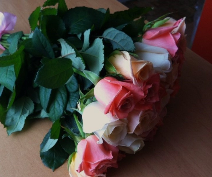 – Он Іван Петрович іде! – раптом зашепотіла Галина Павлівна до Юлі. Крізь прозорі двері перукарні було видно чоловіка, який наближався. – Іван Петрович, добрий день! Щось рано ви до нас цього місяця, – заметушилася Галина Павлівна. – Здрастуйте, – привітався чоловік. – Та все… Час мій вже приходить… Люди ж прийдуть на поминки, а я в якому вигляді буду?! – Ви це про що?! – Галина Петрівна ахнула і сплеснула руками, а Юля застигла від здивування