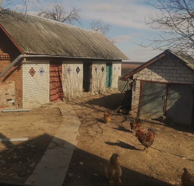 Марія сиділа на лавочці, сльози котилися по її щоках. – Ще одну зиму не протягну! – подумала вона і зітхнула. – Нікого в мене не залишилося, одна на цьому світі. Раптом, хвіртка відчинилася, і на подвір’я зайшла, незнайома, молода дівчина. – Є хто-небудь вдома? – почувся дзвінкий голосок. Марія підійшла до воріт. – Ви до кого? – запитала вона. – Я до Марії Федорівни! Я внучка її, – раптом сказала дівчина. Марія Федорівна аж присіла від здивування, жінка нічого не розуміла