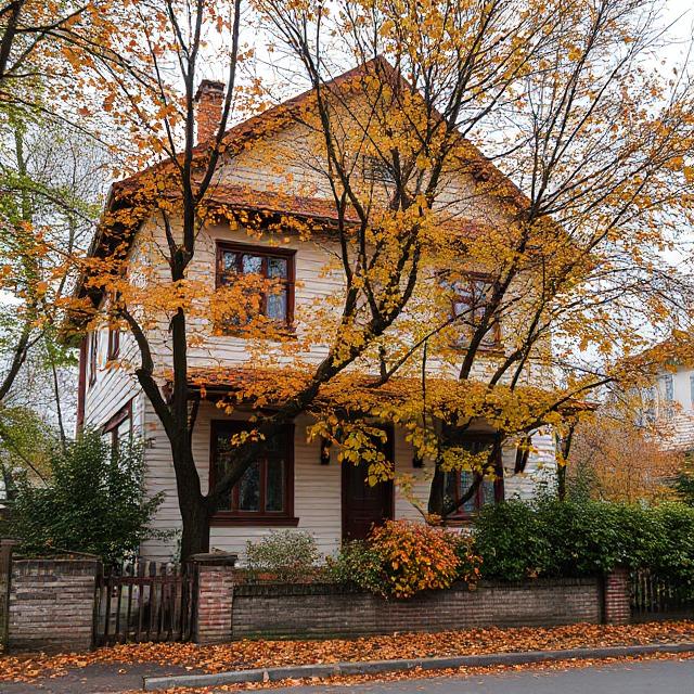 Сьогодні у Надії день народження. Жінка стояла біля вікна з сумом поглядаючи вдалечінь. – Чому мені так не щастить? Чому я залишилася сама? – Надя витерла сльози. Раптом, у двері подзвонили і Надя підійшла до дверей. Жінка глянула у вічко. За дверима стояв якийсь чоловік з тортом. – Дивно хто це може бути, – здивувалася Надя. – Може, чоловік дверима помилився. Надя відчинила двері і застигла. – Це справді ти? – тільки й промовила жінка