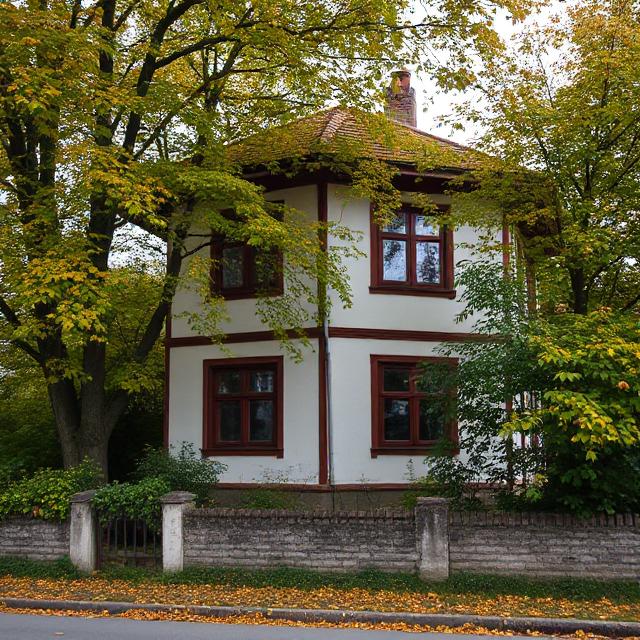 Наталя чистила картоплю на вареники, як раптом задзвенів її телефон. Вона витерла руки рушником і взяла слухавку. – Це Наталя? – запитав у слухавці жіночий голос. – Так, це Наталя, – відповіла жінка. – А це Тоня. Нова дружина твого чоловіка! Наталя аж затихла