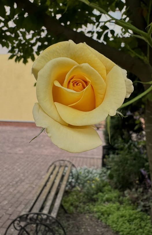 В Італії гроші я заробляю для себе, дітям нічого не даю. Дві мої молодші невістки нормально до цього ставляться, а от старшій, Зоряні, мій будинок спокою не дає. Вона не розуміє, як я можу так розкошувати, коли у них є великий борг. Зоряна так мені прямо і каже, що я маю їм допомогти. – Та нам ніхто не вірить, що у нас мама заробітчанка, і що вона нам нічим не допомагає, – каже мені невістка за столом