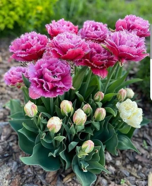 – Тесть давав мільйон за розлучення із донькою. Те, що я зробив, приголомшило всю родину