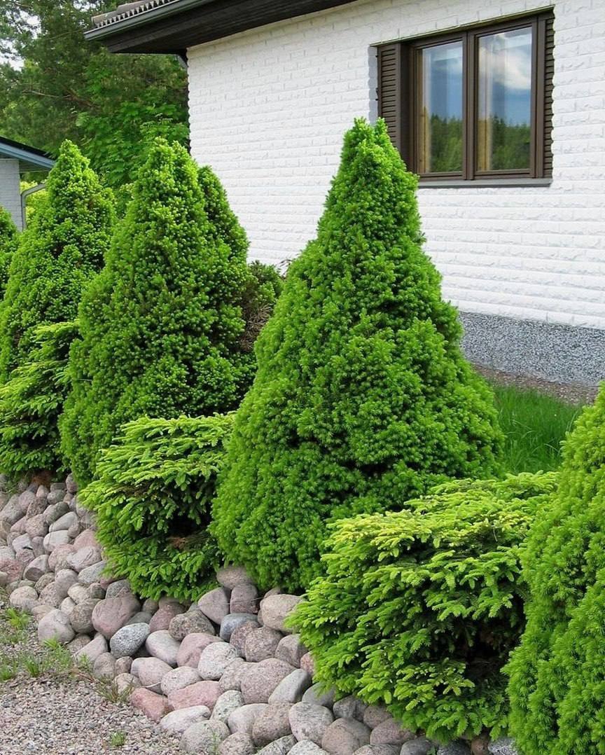 – І знову мій тато виявився неправий. Першого разу, коли сказав, що толкового лікаря з мене не вийде. А вдруге, що ти зробиш усе, щоб утримати мене біля себе