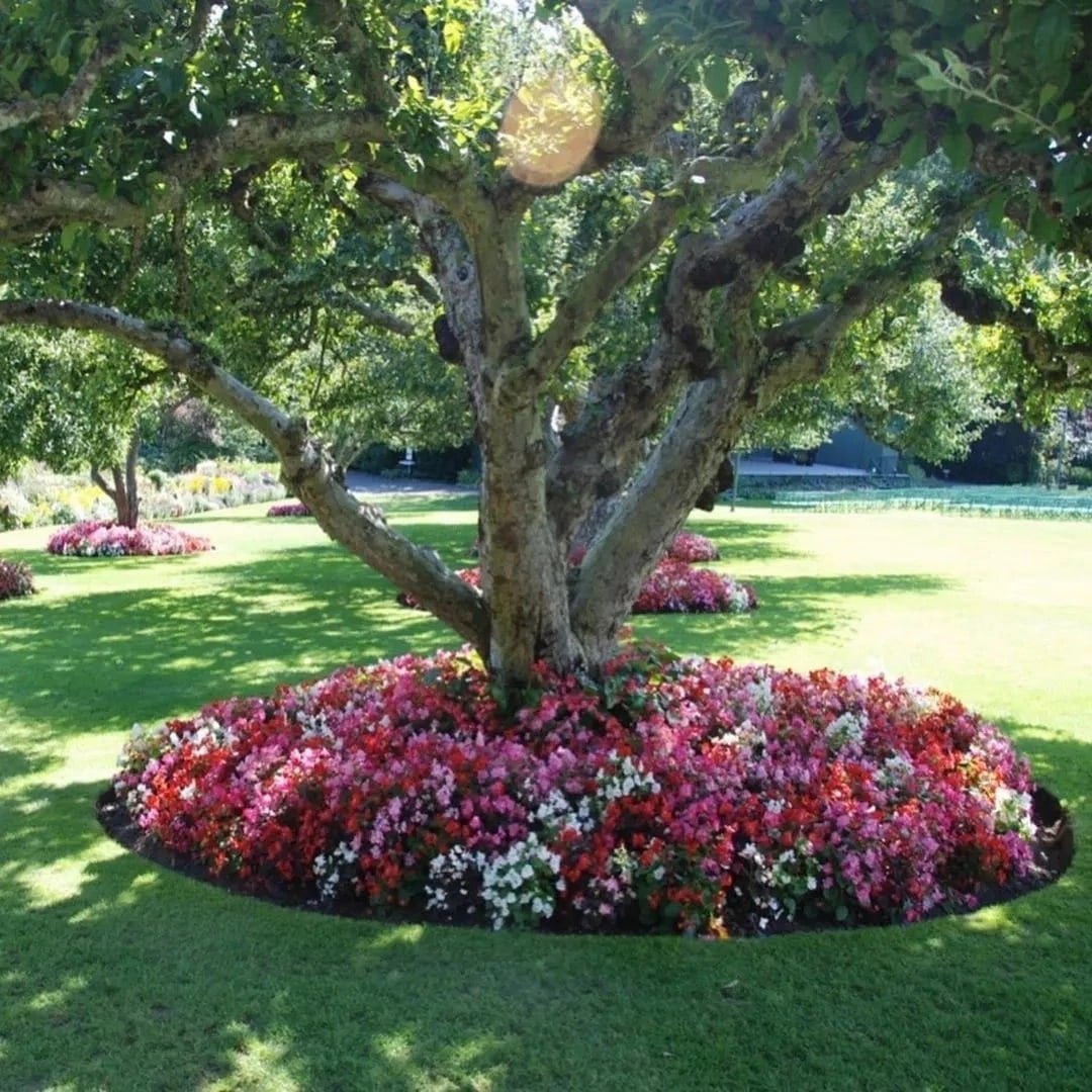 Навіть якщо любиш суп, борщу іноді хочеться, правда?! От і мені… Тим паче, Ольга після появи малюка, з головою в турботи пішла. А я – сам по собі. Кому ж це сподобається! От я й вирішив трохи на стороні розважитися. Я думав, це в нас із тобою так, ненадовго, розвіятися… А тут закохався в тебе, як уперше