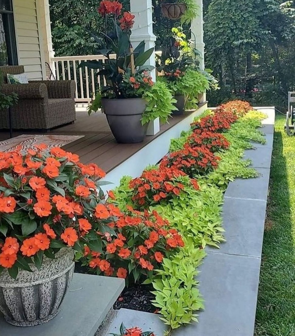 Марійка почала вставати рано. Вранці вона виходила полоти грядки, по ранковій свіжості. Жінка не хотіла сама собі вірити, але вона розуміла одне – їй дуже хотілося зустрітися з сусідом Ігорем, який щоранку йшов на роботу… Вони зустрічалися поглядами і в його хитрих очах проглядався до неї непідробний чоловічий інтерес. – Не дай Боже, побачить Зоя, буде мені тоді, – думала Марійка про дружину Ігоря. – Та ще й прославить мене на все село. А Ігор усе ходив і ходив, і обдаровував її своїм поглядом… Якось Марійка підмітала на подвірʼї. – Доброго дня, Марійко! – раптом почула вона голос. Різко обернувшись, жінка оторопіла від несподіванки.