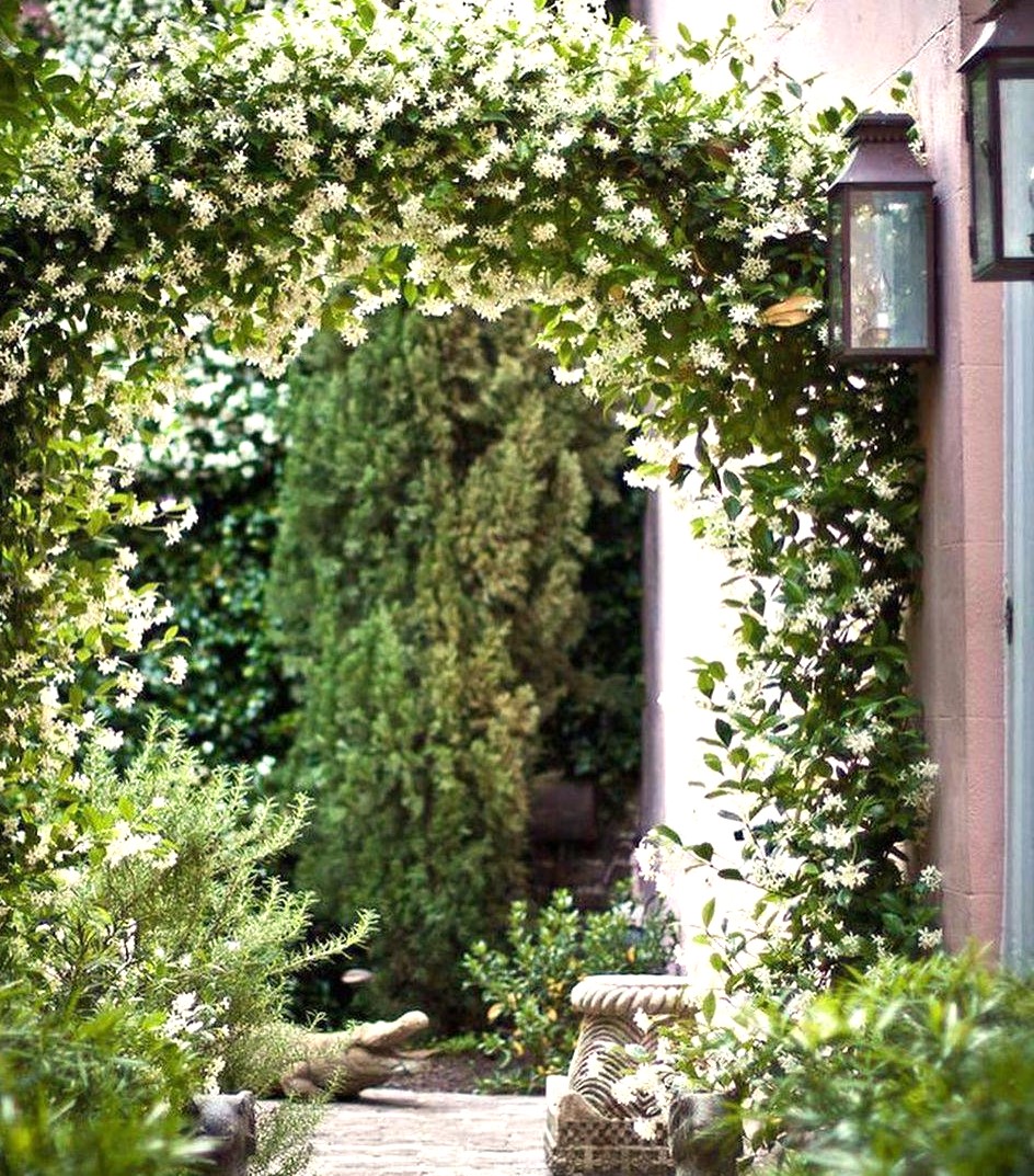 Ніна поїхала в село до батьків. Вона прополола грядки, зайшла в хату, лягла й задрімала. Крізь сон вона чула бурчання матері… – Виросла, матері не може допомогти! – казала та. – Все сама, все сама. Як так? Приїде, поїсть, і шукай вітра в полі. Спати вляглася. Жодної допомоги. Навіщо взагалі їздить?! Потім прийшов батько. У хаті запахло борщем і котлетками. – Буди її, – сказала мати. – Не заслужила, але нехай поїсть, бо ще перестане приїжджати. Треба ще дві грядки прополоти… – Навіщо ти так? – заступився батько. – Вона хороша дівчина. – Хороша тобі, але вона не моя! – раптом сказала мати. – Сам знаєш! Ніна аж прокинулася від почутого.