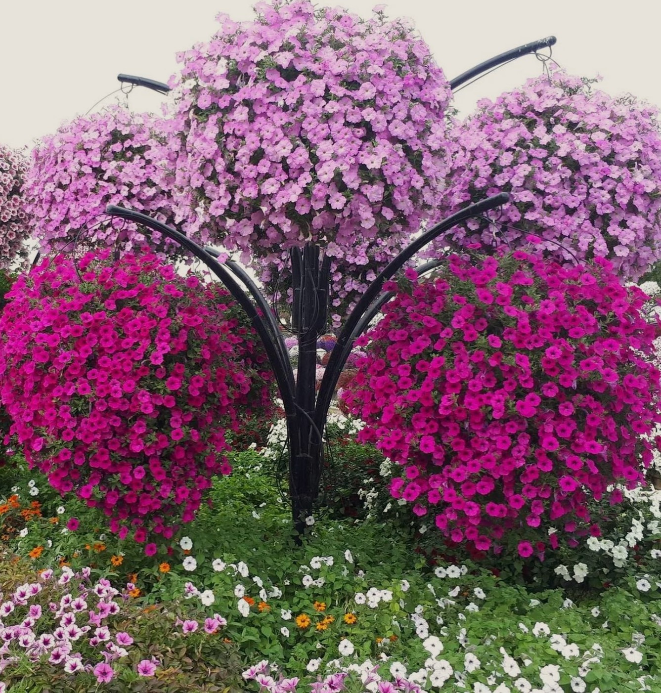 Сусідська квартира після того, як не стало Ніни Михайлівни стояла кілька років порожня. Надія вже звикла, що вона єдина господиня у невеликому коридорчику на дві квартири, відокремленому від загальної частини під’їзду старими металевими дверима з обдертим дерматином… І раптом якось вона почула звук дрилі! Жінка подивилася у вічко – треба ж! Надія аж руками сплеснула від побаченого. У її коридорчику хазяйнував якийсь чоловік у шортах і синій майці!