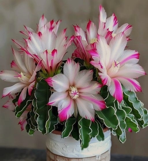 – Я через це і одружуватися не хочу. Не вірю жінкам! А ти не смій по дурості сім’ю розвалити, чуєш.