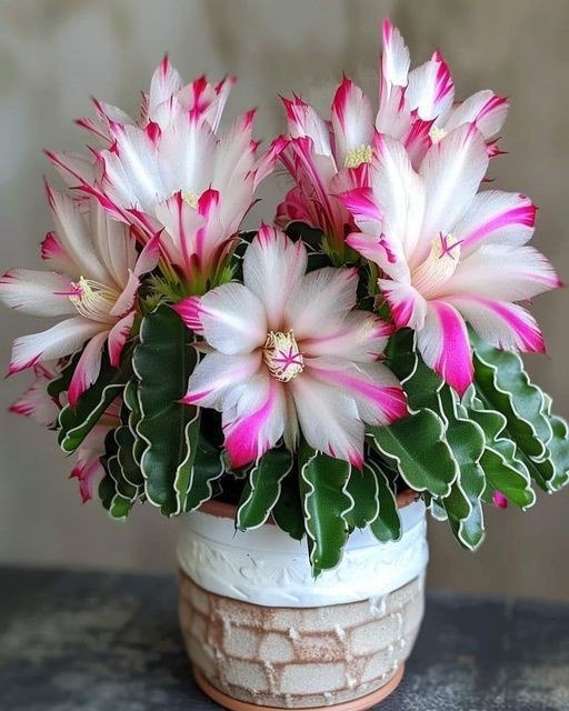 – Я через це і одружуватися не хочу. Не вірю жінкам! А ти не смій по дурості сім’ю розвалити, чуєш