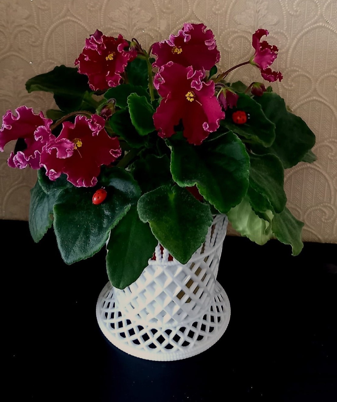 Мамо, а де тато живе тепер? – У чужої тьоті. Бо тато нашого дому не хотів. – А ти його любила? – Любила. Але він помилився. Миколі було 57, коли він зібрав валізу і вийшов з власного будинку. Не грюкнув дверима. Не крикнув. Не озирнувся. Просто вийшов. За тридцять років шлюбу він навчився мовчати. Терпіти. Будувати. Забезпечувати. Дарувати. І все – для неї. Для Зої, яка так нічого і не оцінила