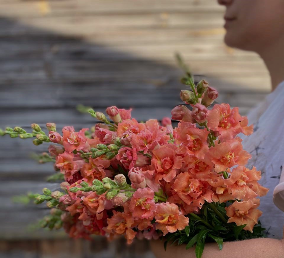 – Мамо, ми приїхали поговорити про спадщину. Якраз минає три місяці, й незабаром доведеться оформлювати документи — хто й що отримає. Ми хочемо заздалегідь визначитися, щоб потім не гаяти часу на суперечки