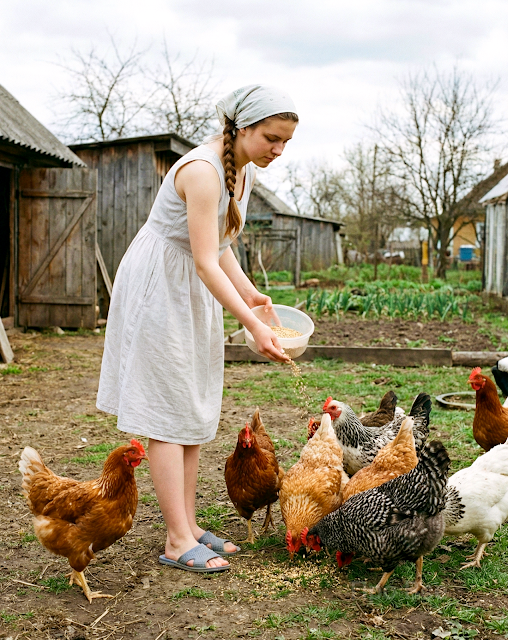 “– Якби не мій син, – прогарчав свекор, – ти б досі у своєму смердючому селищі жила, та коровам хвости крутила! Він тебе з бруду витяг, а ти тут права качаєш!