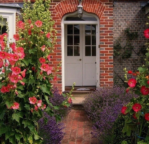  Ну, як же так! Мама любить, щоб усе було за вищим розрядом! – Засмутився чоловік