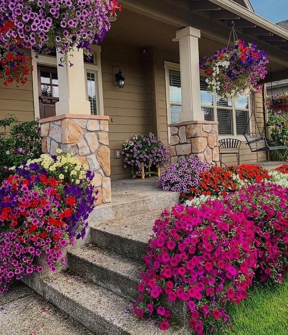 Моя свекруха ще тієї епохи, коли стіл має ломитися від наїдків ще від самого ранку, а гості мають сідати до столу, де вже салати злегка вивітрилися. Бо так ми гостей поважаємо і чекаємо, а ще їди має бути просто ціла купа, щоб потім ще тиждень їли самі, доїдали кіт з псом, кури і свині