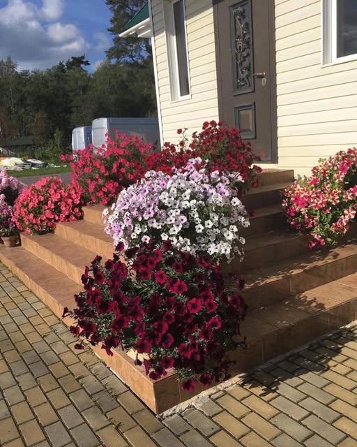 Після маминого дзвінка. я вийняла сімку з телефону і викинула її геть. Зрештою, де я мешкаю вони із сестрою не знають, тож отой шматок пластику був єдиним, що нас поєднувало останні роки. Знаю, що мамі буде тепер дуже не просто, але остання наша розмова мені відкрила таки очі