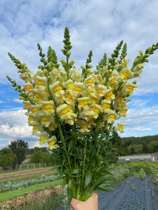 – А як же я? Чому ти відмовився від мене? Хіба я тобі не дочка? – Запитала вона. – Ти не можеш мене ні в чому дорікнути! Я тебе виховав, на ноги поставив, у подальше життя відправив, а далі греби сама. Я тобі нічого не винен