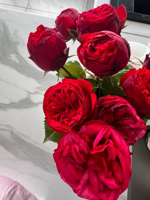 З Наталею було навіть просто помовчати приємно, а ось його нова пасія таких почуттів не викликала