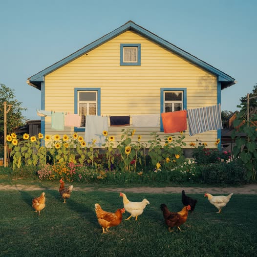 Знаєш що мамо, я більше тобі ні копійки не дам!