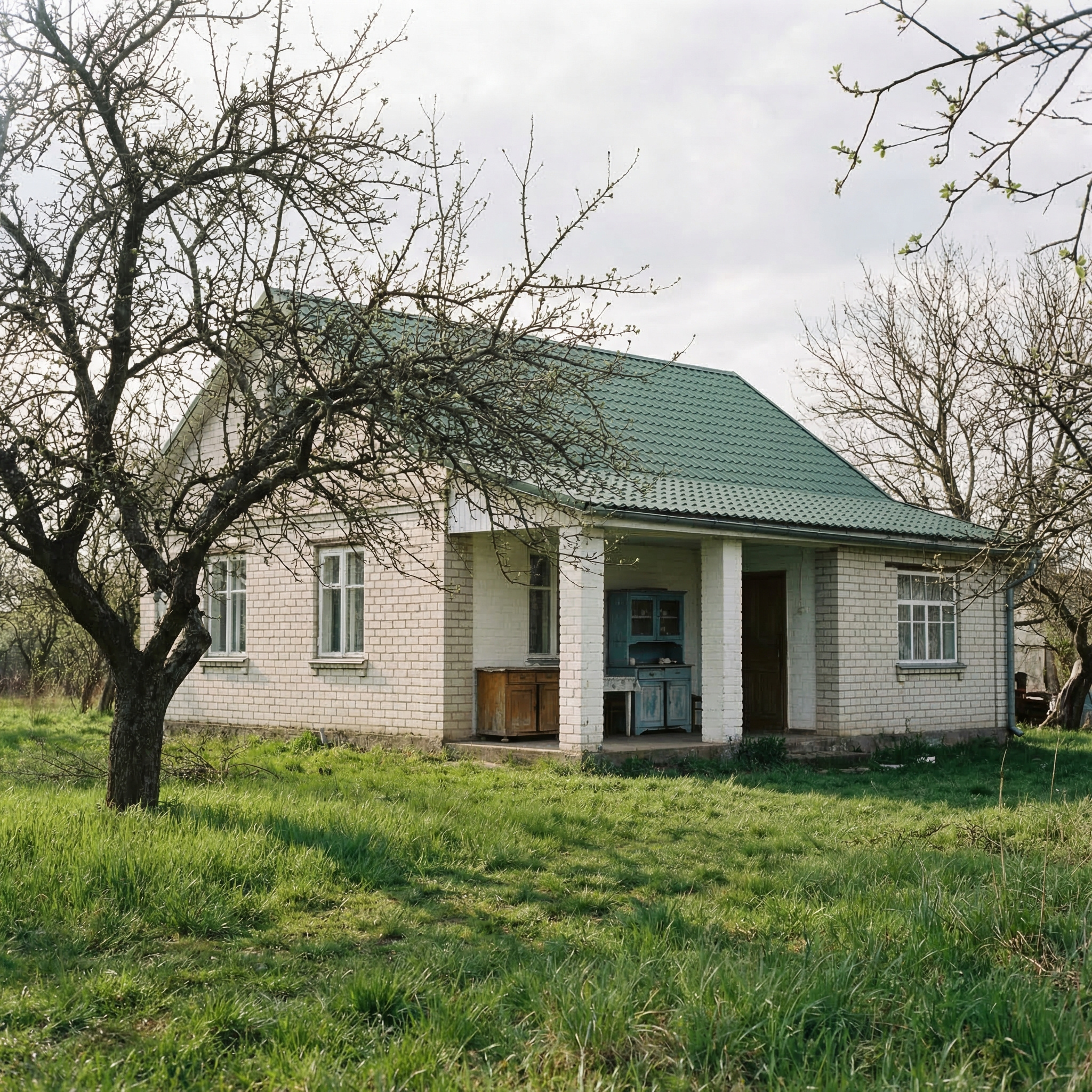 Баби Ніни не стало. Майже пів року її будинок пустував. І от в село приїхала племінниця покійної – Валя. Саме їй старенька заповіла хату. – Проходь, хазяйко! – відкрив їй двері в будинок сусід Микола. То був високий чоловік років сорока. – Яка ж я хазяйка? – зітхнула Валя. – Я всього лише спадкоємиця… Жінка пройшлася по будинку, оцінюючи поглядом все навколо. – Скільки мені за хату просити? – запитала вона сусіда. – Навіть не знаю… – Це як подивитися, – сказав той. – Якщо будинок хороший, то й ціна інша. А зараз… – Микола похитав головою. – Треба ремонт хоч невеличкий. – Так, правильно кажете, – кивнула Валя. І тут Микола запропонував несподіване