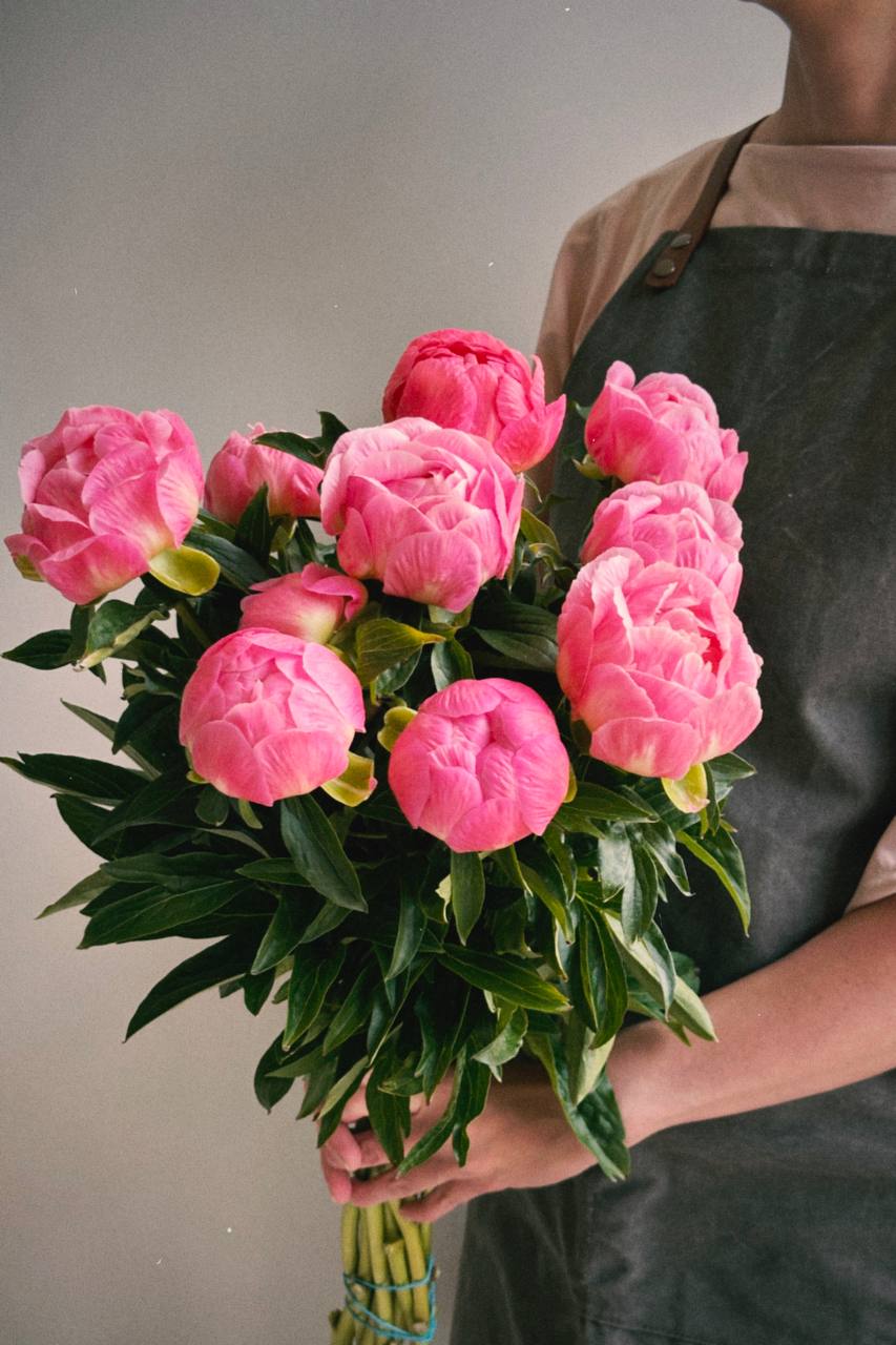 Тринадцять років Олена була для свого чоловіка сонечком, котиком і пташкою, але одного дня, наче грім серед ясного неба, вона почула від нього, що стала схожою на сіру мишку,