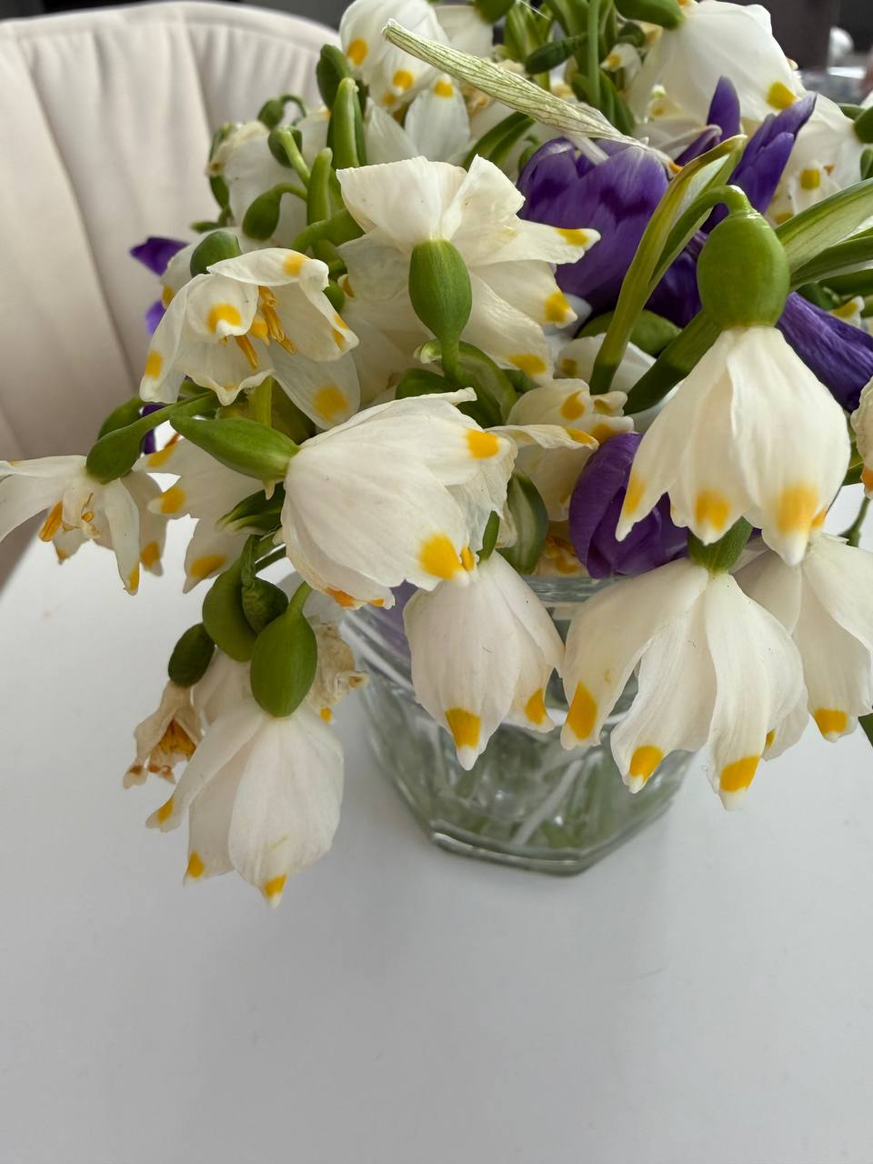 — Гості будуть за годину! Ігор із дітьми вже їде. Тітка Валя обіцяла заскочити. Племінники Антонові голодні з дачі приїдуть! Я ж думала, ти качку з яблуками запечеш, Ігор же так любить твою фірмову качку! — То хай їдуть. Київ великий. Ресторанів повно. Переб’єтеся сьогодні без качки. І без моєї куховарні взагалі